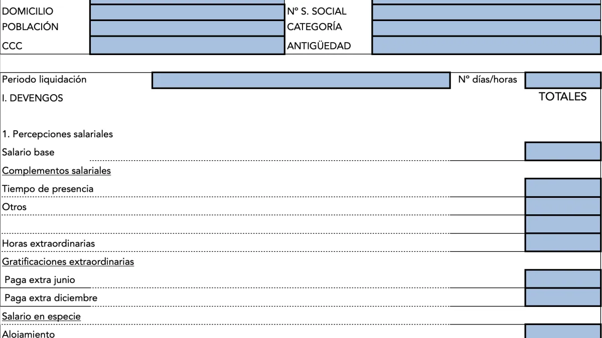 Domestic worker payslip in Spain: what it must include in 2026